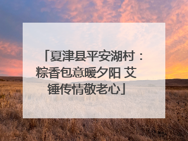 夏津县平安湖村：粽香包意暖夕阳 艾锤传情敬老心