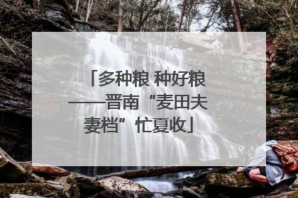 多种粮 种好粮——晋南“麦田夫妻档”忙夏收