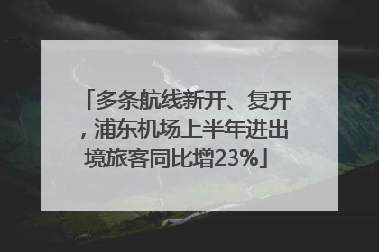 多条航线新开、复开，浦东机场上半年进出境旅客同比增23%