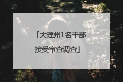 大理州1名干部接受审查调查