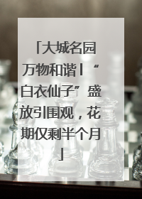 大城名园 万物和谐│“白衣仙子”盛放引围观，花期仅剩半个月