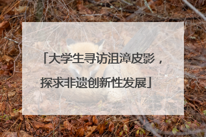 大学生寻访沮漳皮影，探求非遗创新性发展