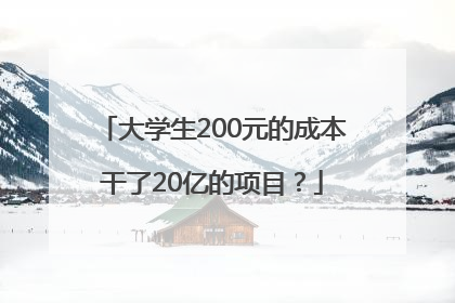 大学生200元的成本干了20亿的项目？