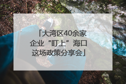 大湾区40余家企业“盯上”海口这场政策分享会