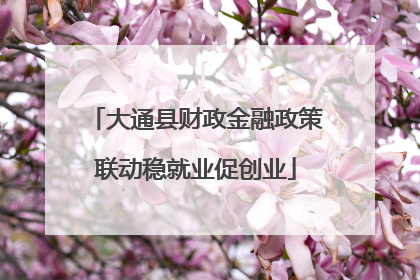 大通县财政金融政策联动稳就业促创业