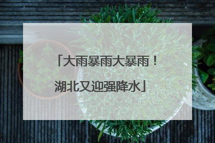大雨暴雨大暴雨！湖北又迎强降水
