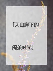 天山脚下的闽茶时光