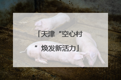 天津“空心村”焕发新活力