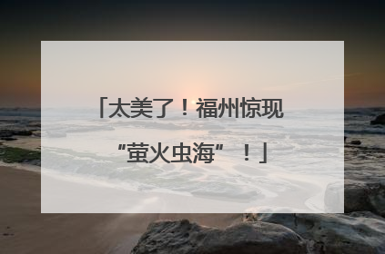 太美了！福州惊现“萤火虫海”！