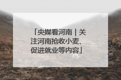 央媒看河南｜关注河南抢收小麦、促进就业等内容