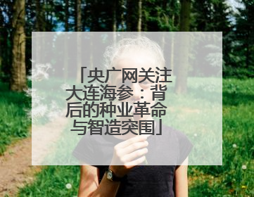 央广网关注大连海参：背后的种业革命与智造突围