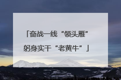 奋战一线“领头雁” 躬身实干“老黄牛”