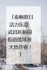 奏响夏日活力乐章 武昌区杨园街道篮球赛火热开赛！