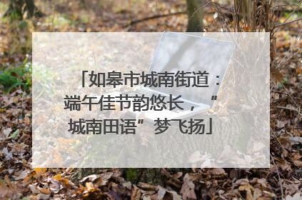 如皋市城南街道：端午佳节韵悠长，“城南田语”梦飞扬