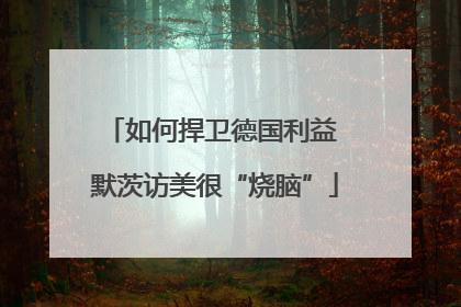 如何捍卫德国利益 默茨访美很“烧脑”