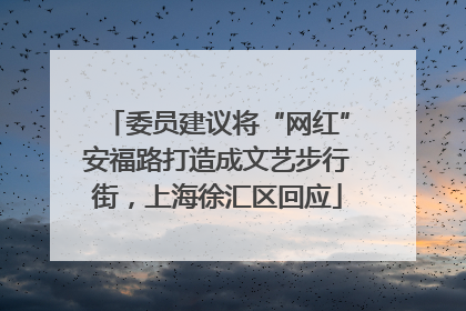 委员建议将“网红”安福路打造成文艺步行街，上海徐汇区回应