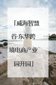 威海智慧谷·东华跨境电商产业园开园