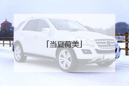 当夏荷美