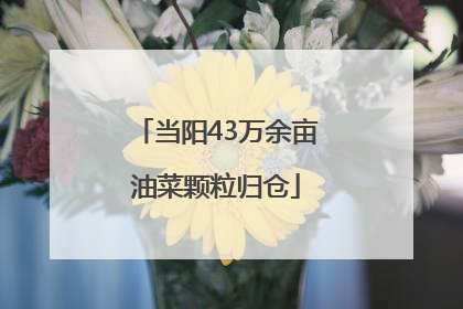 当阳43万余亩油菜颗粒归仓