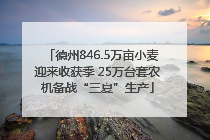 德州846.5万亩小麦迎来收获季 25万台套农机备战“三夏”生产