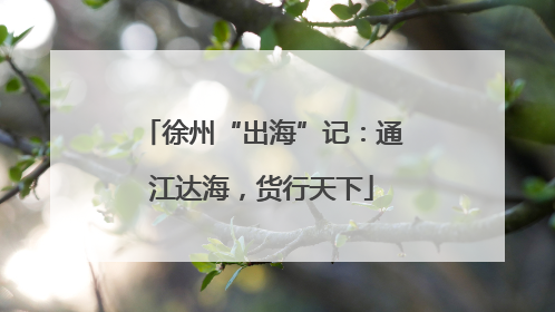 徐州“出海”记：通江达海，货行天下