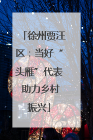 徐州贾汪区：当好“头雁”代表 助力乡村振兴