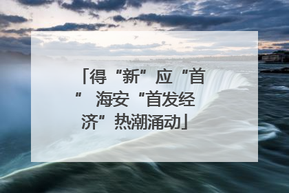 得“新”应“首” 海安“首发经济”热潮涌动