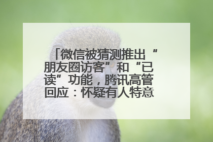 微信被猜测推出“朋友圈访客”和“已读”功能，腾讯高管回应：怀疑有人特意反复翻炒流量