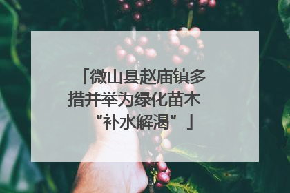 微山县赵庙镇多措并举为绿化苗木“补水解渴”