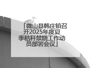 微山县韩庄镇召开2025年度夏季秸秆禁烧工作动员部署会议