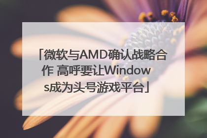 微软与AMD确认战略合作 高呼要让Windows成为头号游戏平台