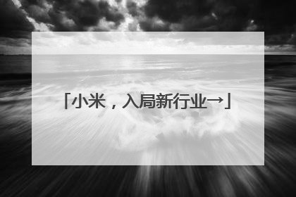 小米，入局新行业→
