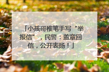 小孩哥稚笔手写“举报信”，民警：盖章回信，公开表扬！
