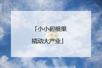 小小碧根果撬动大产业