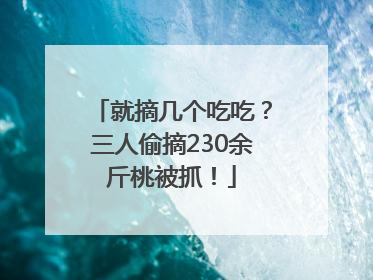 就摘几个吃吃？三人偷摘230余斤桃被抓！