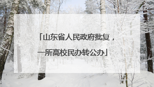 山东省人民政府批复，一所高校民办转公办