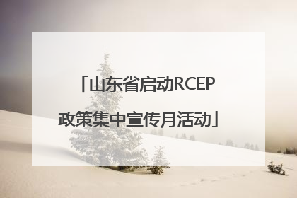 山东省启动RCEP政策集中宣传月活动