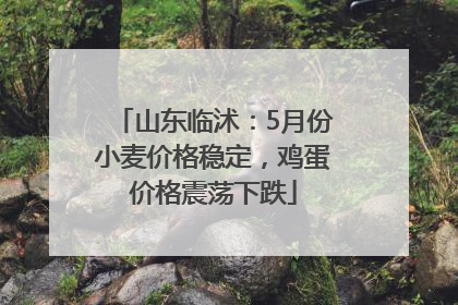 山东临沭：5月份小麦价格稳定，鸡蛋价格震荡下跌