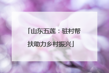 山东五莲：驻村帮扶助力乡村振兴