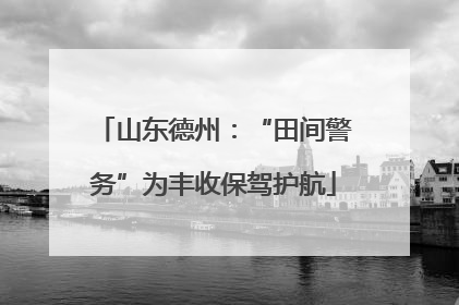 山东德州：“田间警务”为丰收保驾护航
