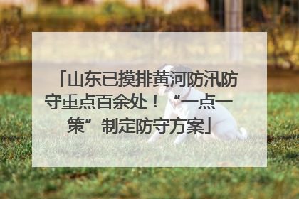 山东已摸排黄河防汛防守重点百余处！“一点一策”制定防守方案