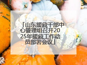 山东援藏干部中心管理组召开2025年援藏工作动员部署会议