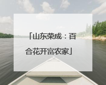 山东荣成：百合花开富农家