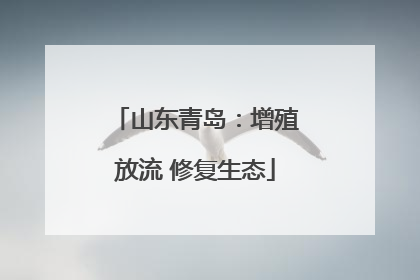 山东青岛：增殖放流 修复生态
