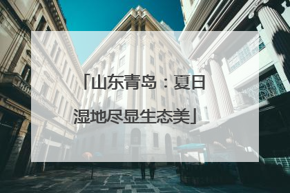 山东青岛：夏日湿地尽显生态美