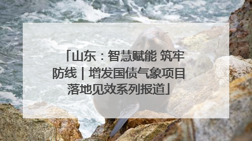 山东：智慧赋能 筑牢防线｜增发国债气象项目落地见效系列报道