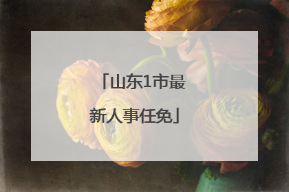 山东1市最新人事任免