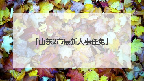山东2市最新人事任免