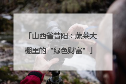 山西省昔阳：蔬菜大棚里的“绿色财富”