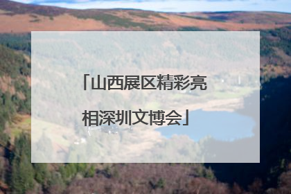 山西展区精彩亮相深圳文博会